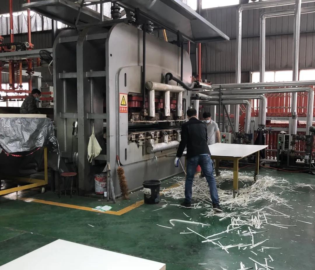 柏优携手东信达,演绎信息化“治木之道”