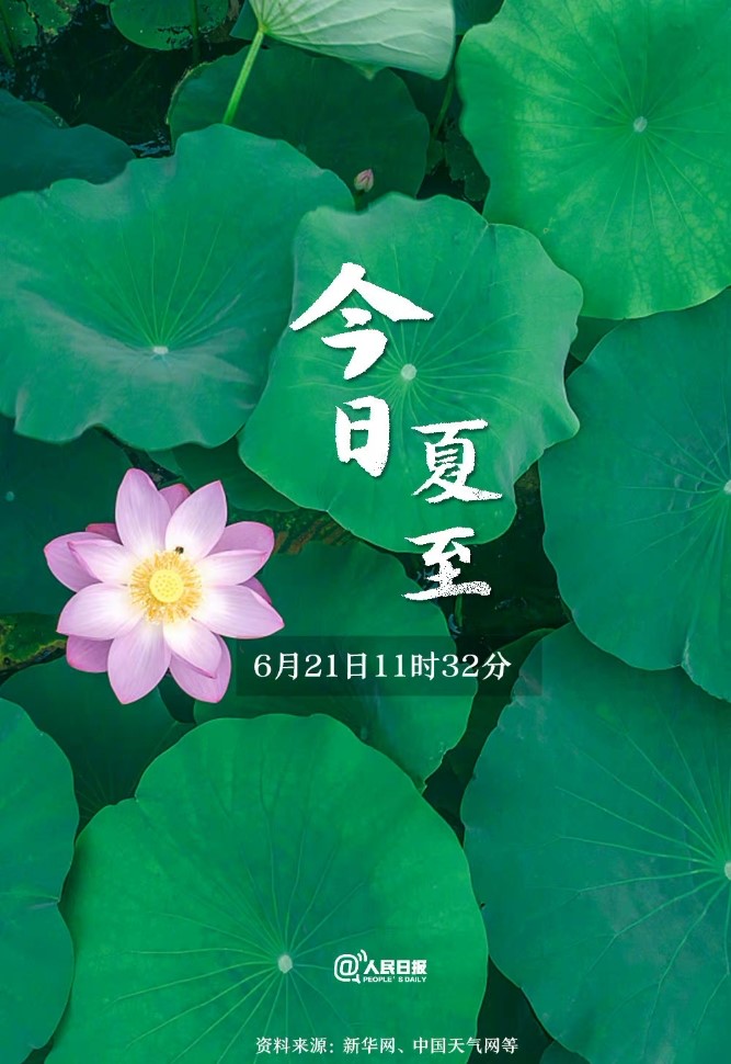 今日夏至 | 万物向阳而立